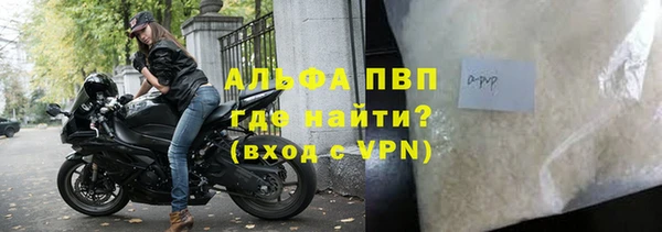 прущие грибы Абаза