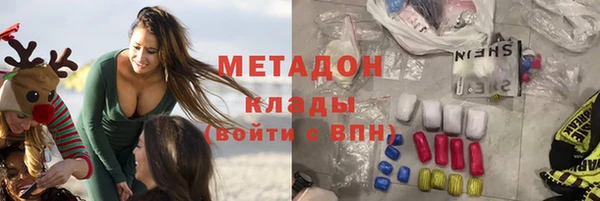 прущие грибы Абаза
