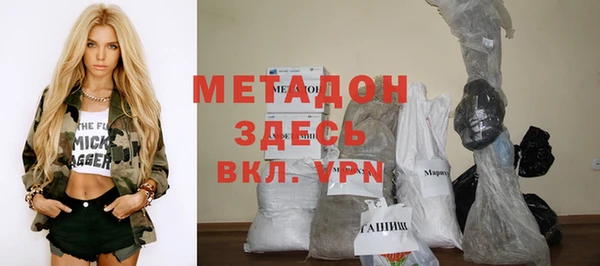 прущие грибы Абаза