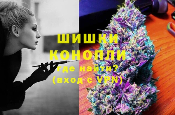 прущие грибы Абаза