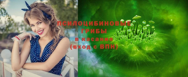 прущие грибы Абаза