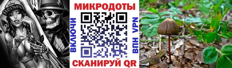где купить наркотик Эртиль Псилоцибиновые грибы Cubensis