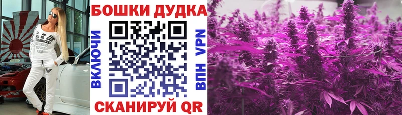 ссылка на мегу маркетплейс  Эртиль  Шишки марихуана LSD WEED  купить наркотики цена 